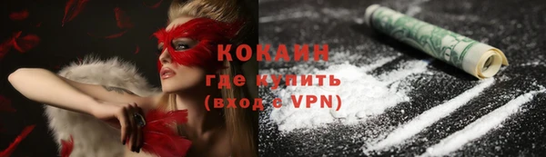 ПСИЛОЦИБИНОВЫЕ ГРИБЫ Бородино