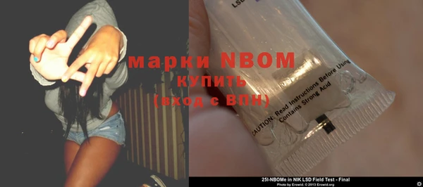ПСИЛОЦИБИНОВЫЕ ГРИБЫ Бородино