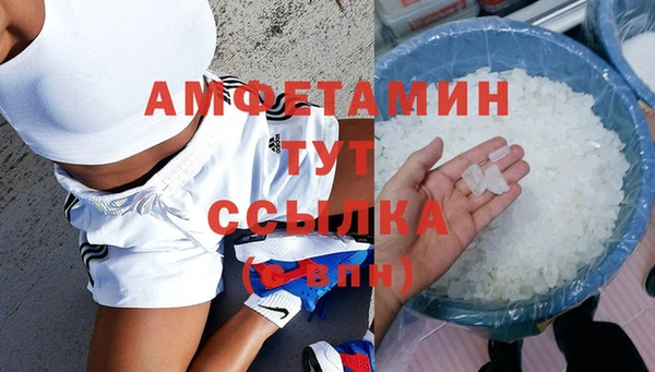 ПСИЛОЦИБИНОВЫЕ ГРИБЫ Бородино