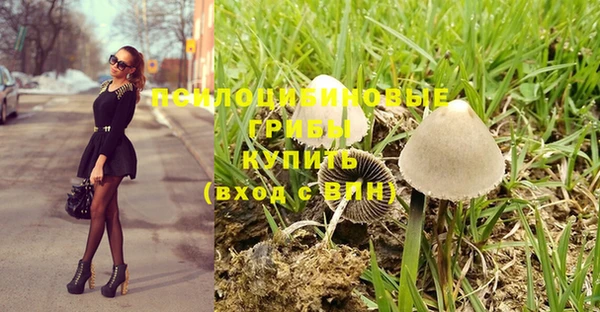мескалин Бронницы